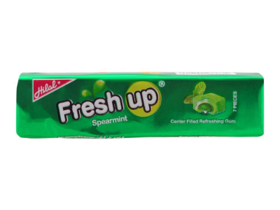 Fresh Up Mint Chewing Gum
