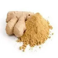Organic Spices Ginger Powder, 100g