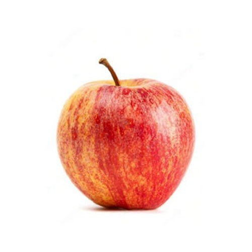 Gala Apple 1 Pack