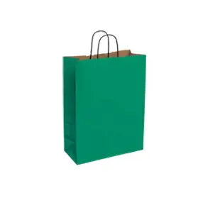 Gift Kraft Paper Bag Plain Green Cover - Small