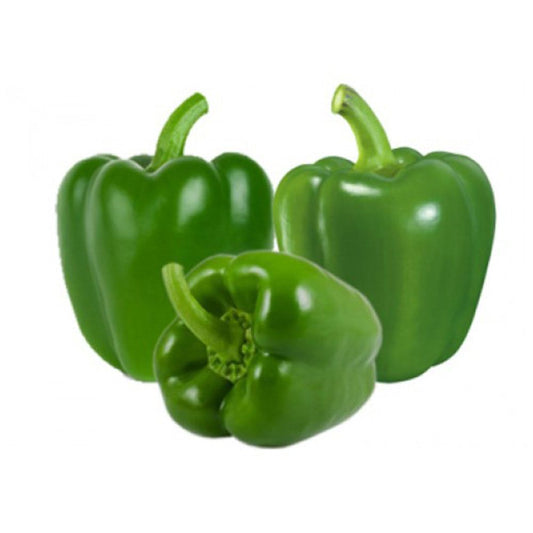 Green Capsicum 1 Pack