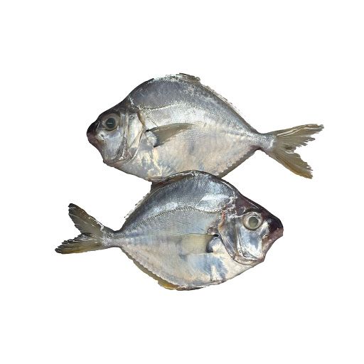 Fresh Silver Belly Fish, 500g