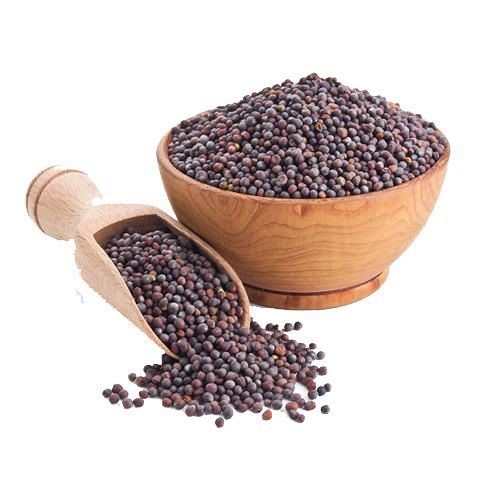 J Fresh Mustard Seed, 100g