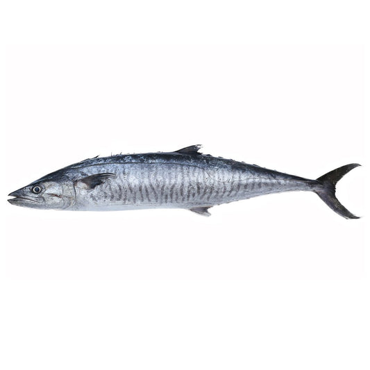 KingFish Small,1kg