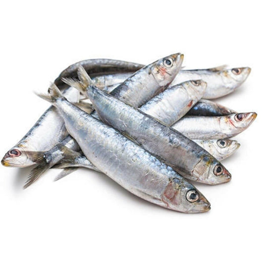 Large Sardine, 500g