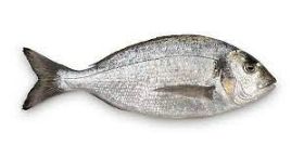 Large Sea Bream Fish Cleaned