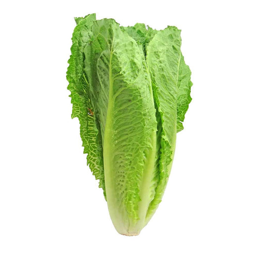 Lettuce Jordan 1kg
