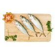 Mackerel Small 1kg
