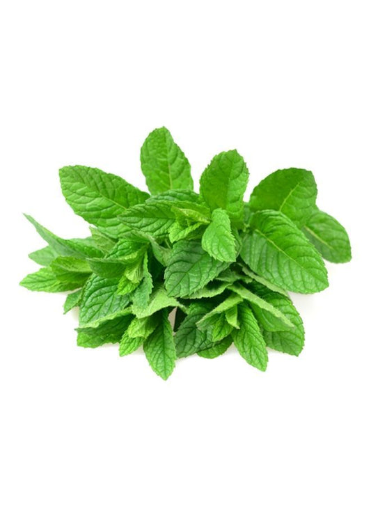 Mint Leaves 80 g