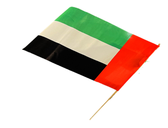 National Uae Flag (28Cmx37Cm)