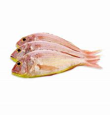 Sulthan Ibrahim Pink Perch, 500g
