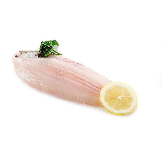 Oman Fresh Marine Sole Fish Skinless & Cleaned