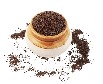 Organic Spices Mustard, 100g
