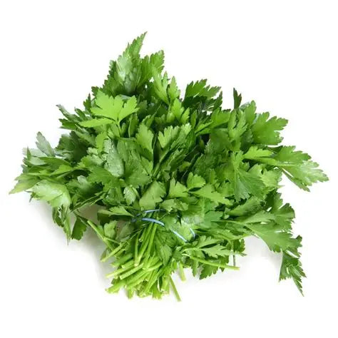 Organic Spices Parsley Leaves