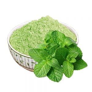 Organic Spices Mint Powder, 50g
