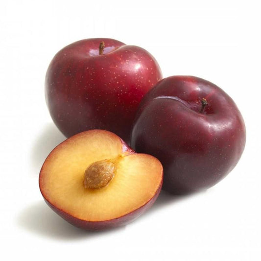 Plum Red 500 g