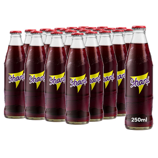 Shani Soft Drink Glass Bottle, 24x250ml