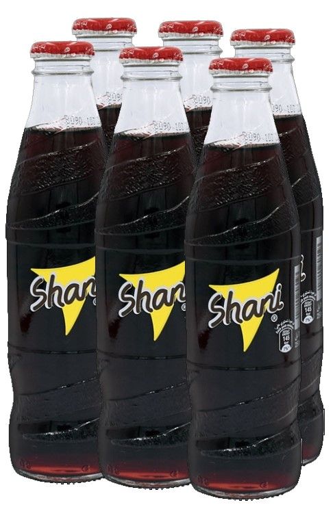 Shani Soft Drink Glass Bottle, 6x250ml