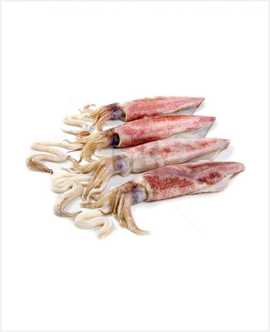 Squid Fish (Koonthal)