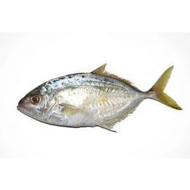T.T. Jesh Fish, 1kg