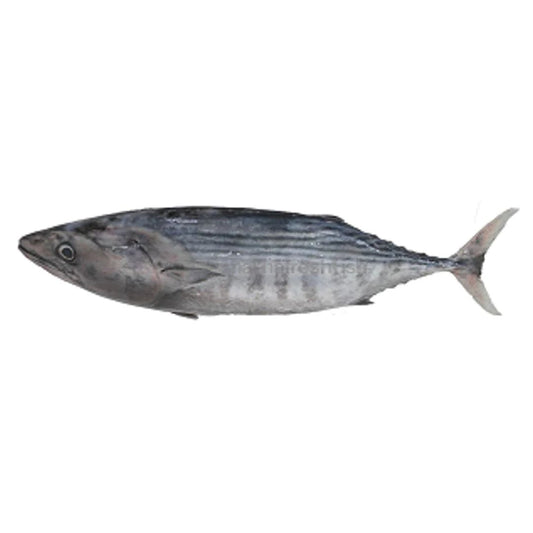 Fresh Tuna Fish, 500g