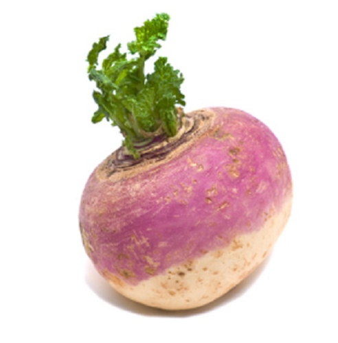 Turnip Oman 1kg