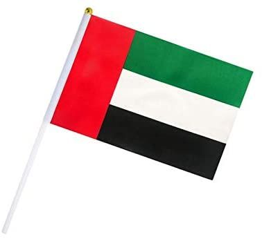 UAE National Hand Flag