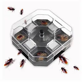 Vincere Cockroach Trap Box