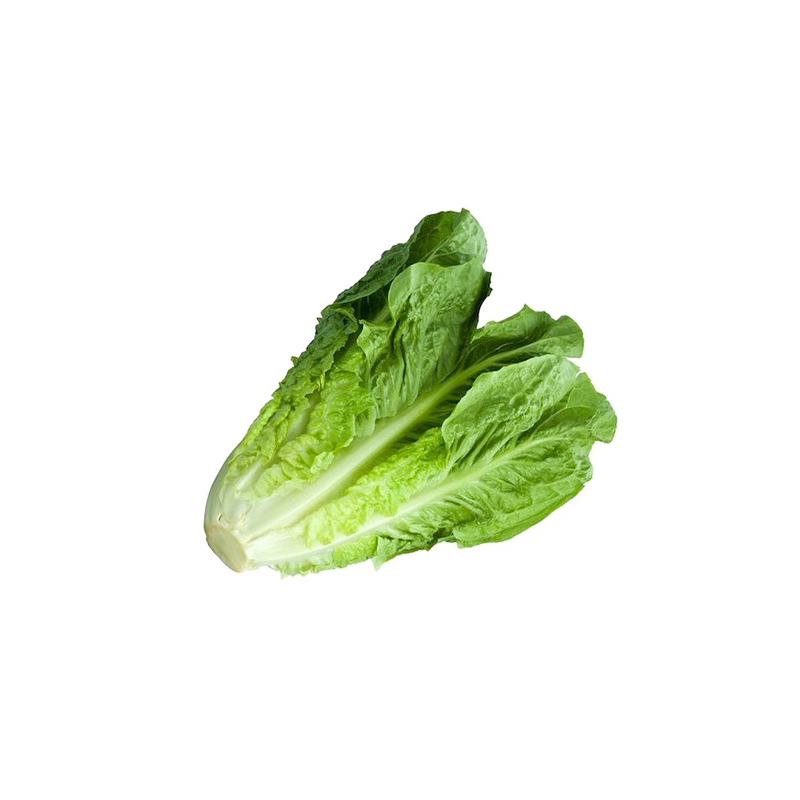 Lettuce Iran 1kg