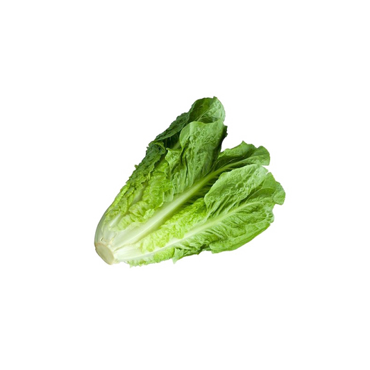 Lettuce Iran 1kg
