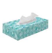 Pran Soft 2Ply Facial Tissues, 200 Sheets