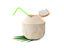 Tender Coconut Thailand