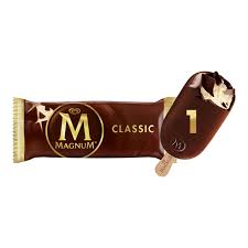 Magnum Classic Ice Cream Stick 100ml