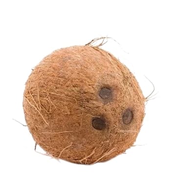 Coconut Indian 1pc