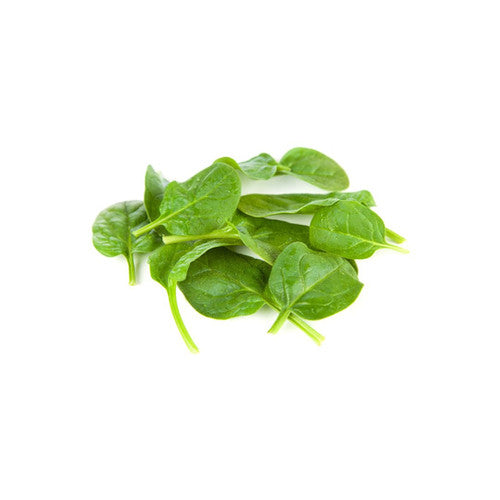 Baby Spinach - Holland, 125g