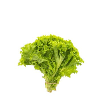 Lettuce 1 Bunch