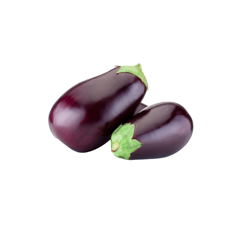 Big Eggplant 1 Pack