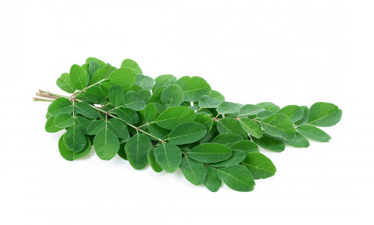 Drumstick Leaves