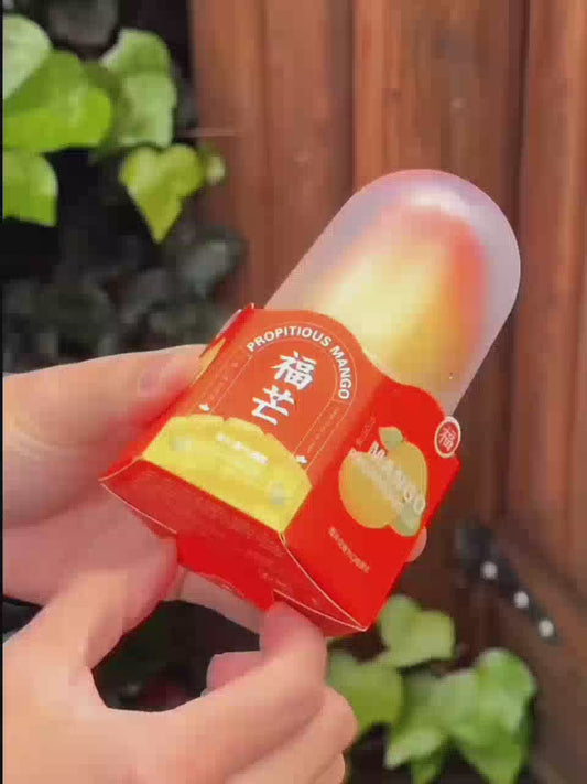 Propitious Mango Ice Cream Stick 75g