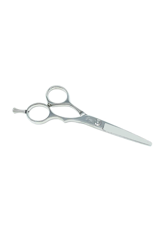 Scissor Stainless Steel, 4.5 Inches