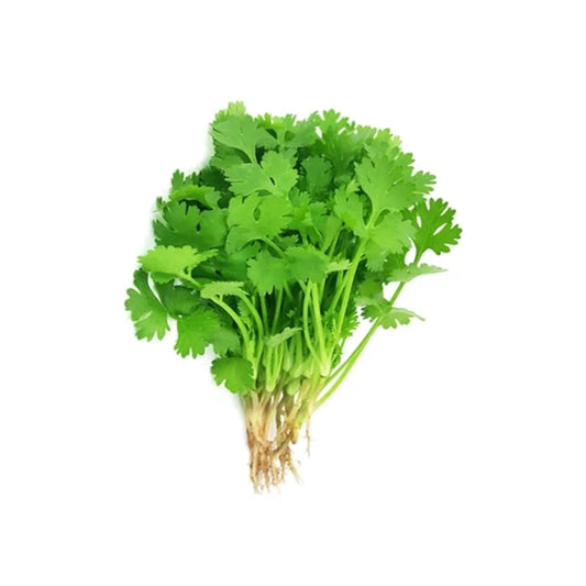 Coriander Leaves Bunch